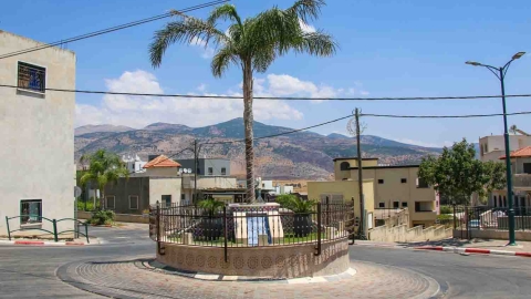 Palm Tree Roundabout.jpg