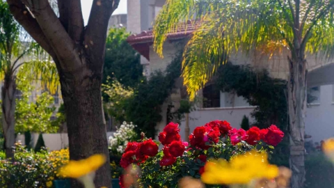 Flowers_-21.jpg