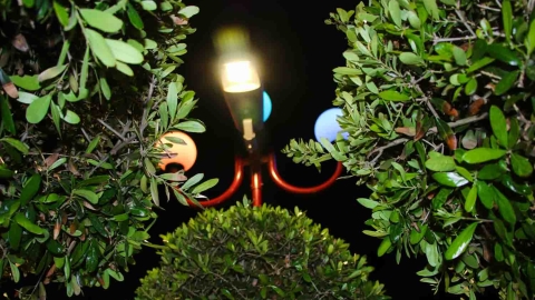 Lights_-3.jpg