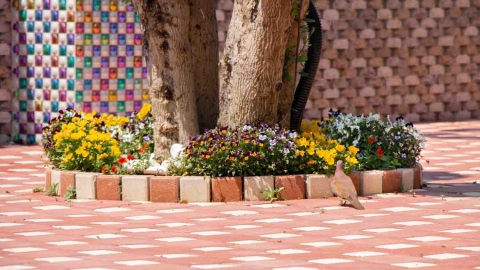 Flowers_-8.jpg