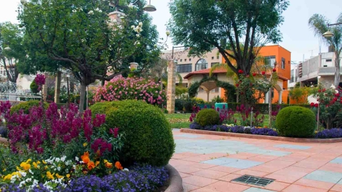 Flowers a.jpg
