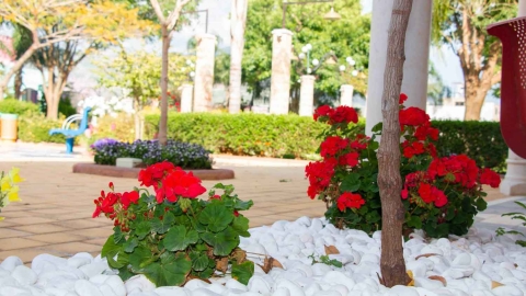 Garden of Peace_-13.jpg
