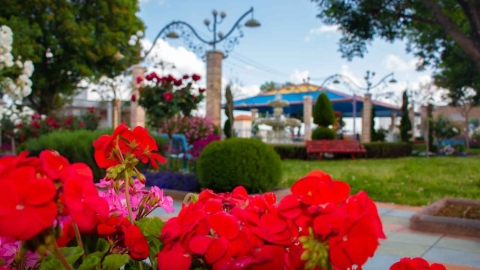 Flowers_-16.jpg