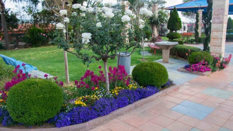 Garden of Peace_-15.jpg