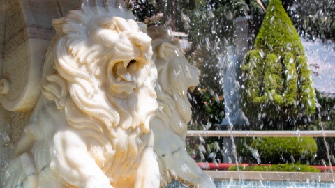 Garden of Peace ed100klions5.jpg