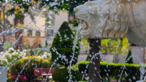 Garden of Peace_-16.jpg