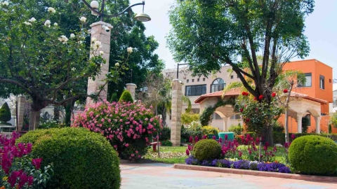 Trees 2.jpg
