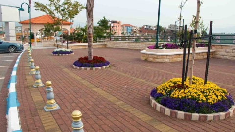 Flowers_-5.jpg