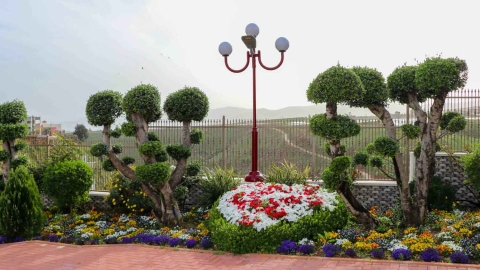 Viewpoint_-10.jpg